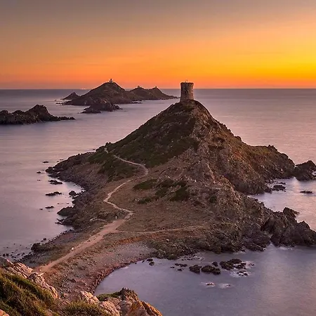Terrasse Rue Piétonne Ajaccio (Corsica)