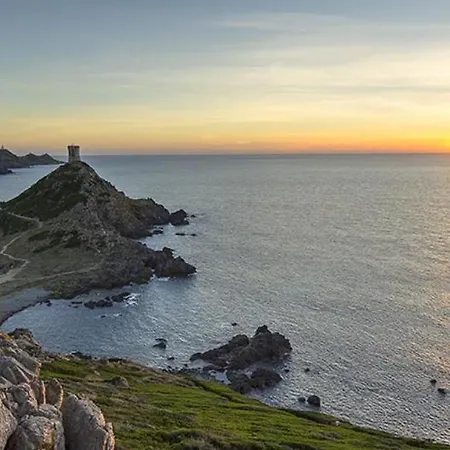 Terrasse Rue Piétonne