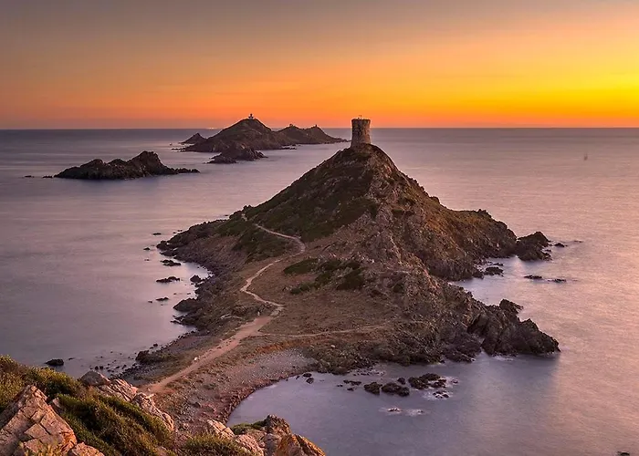 Terrasse Rue Pietonne アジャクシオ